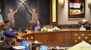 1764182906 الرئيس السيسي اللغة العربية هي سر فهم الدين صح