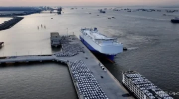 1764200132 شيري تحقق مبيعات كبيرة وعدد مستخدميها يتخطى 18 مليون حول