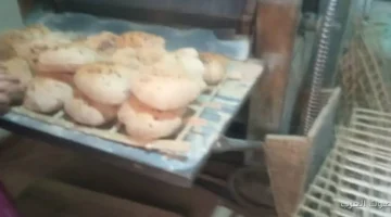 1764232097 تموين القليوبية يكتشف 10 مخالفات في حملة مفاجئة على مخابز