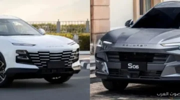 1764250168 أيهم تختار ساوايست اس 06 ولا جيتور داشينج 2026؟