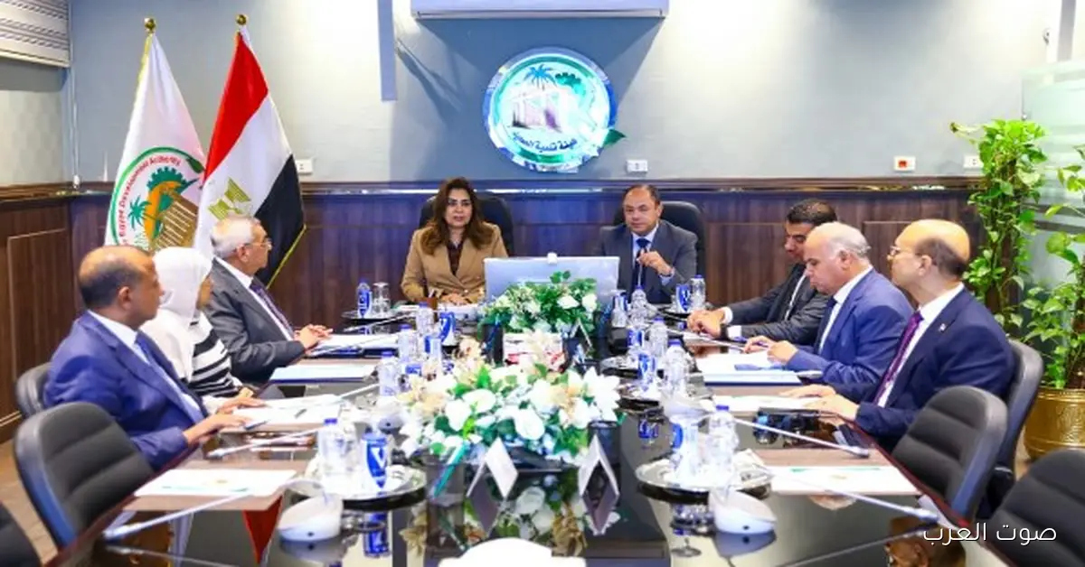 وزيرة التنمية المحلية تحضر إطلاق الموقع الجديد لهيئة تنمية الصعيد 2 وزيرة التنمية المحلية تحضر إطلاق الموقع الجديد لهيئة تنمية الصعيد