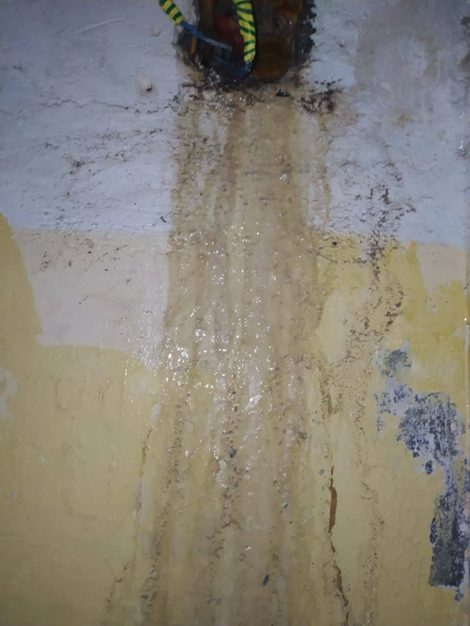 1764353248 522 مياه الصرف بتغرق جدران مدرسة في حلمية الزيتون وأهالي الطلبة