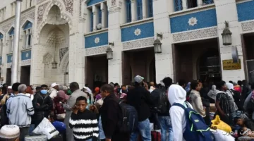 1764418476 سكك حديد مصر مستمرة في نقل الإخوة السودانيين بقطارات العودة