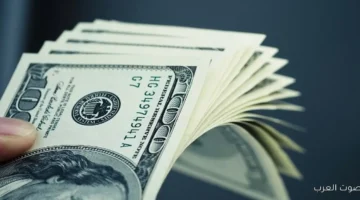 1764429856 سعر الدولار النهارده 29 نوفمبر 2025