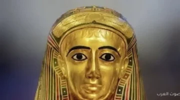 1764486078 قناع ذهبى لمومياء المتحف المصري بالتحرير يعرض قطعة أثرية مدهشة
