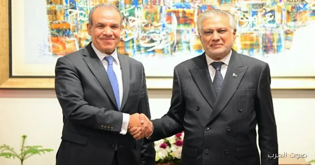 اجتماع بين وزيري الخارجية المصري والباكستاني في إسلام أباد