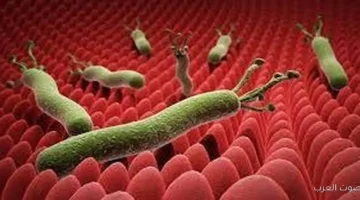 1764520097 حظر دواء جديد وسحب شحنة أشهر علاج لجرثومة المعدة وارتجاع