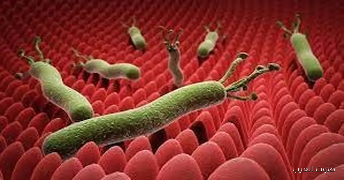 حظر دواء جديد وسحب شحنة أشهر علاج لجرثومة المعدة وارتجاع المريء 2 حظر دواء جديد وسحب شحنة أشهر علاج لجرثومة المعدة وارتجاع المريء