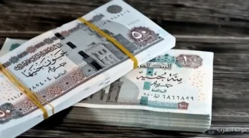 1764529425 زيادة المعاشات في يناير 2026 هتقبض كام بعد ما يرفعوا