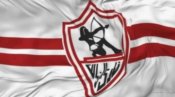 260 ألف دولار خبير تحكيمي يكشف تفاصيل مثيرة عن قضايا