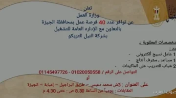 40 وظيفة جديدة في شركة تريكو بالجيزة