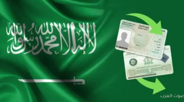 Screenshot 2025 11 29 174755