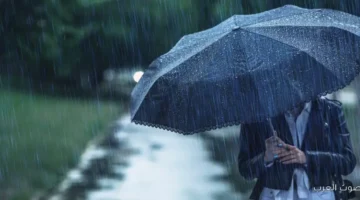 Screenshot 2025 11 30 140245