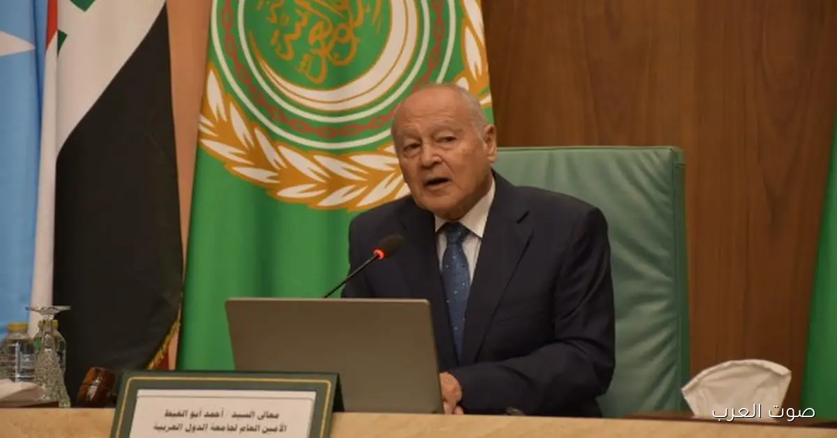 أبو الغيط: الاحتلال هيروح والدولة الفلسطينية لازم تحصل