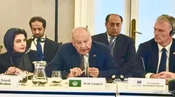 أبو الغيط الفلسطينيين بيواجهوا حرب ظالمة والسودان في أسوأ أزمة