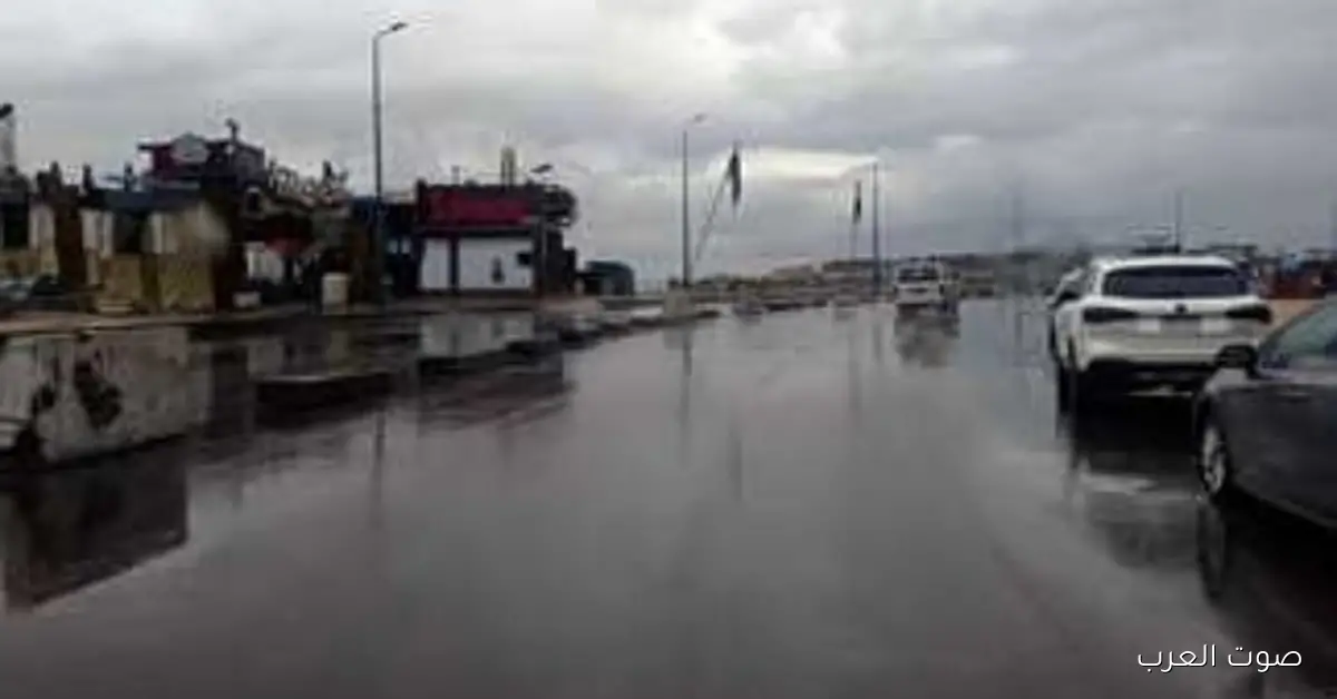 أجواء شتوية.. الأرصاد بتحذر من طقس السبت 8 نوفمبر