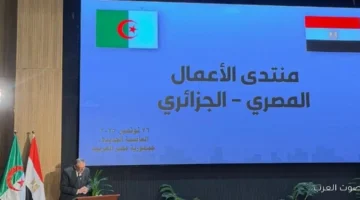 أحمد الوكيل 4 نقاط أساسية لتطوير التعاون الاقتصادي بين مصر