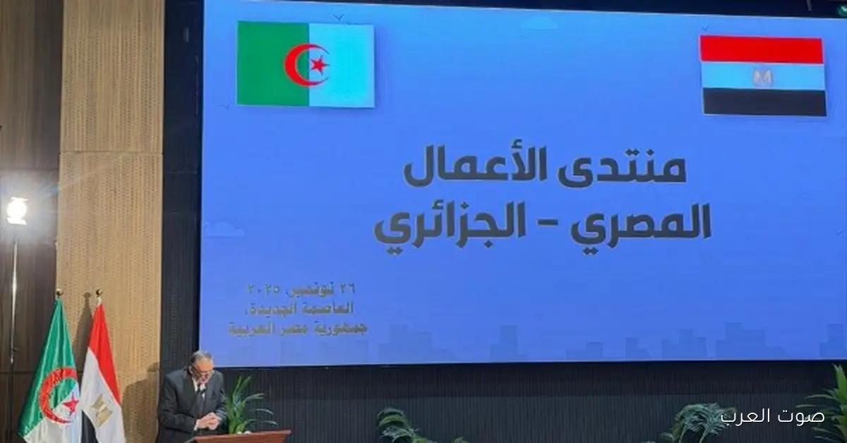 أحمد الوكيل: 4 نقاط أساسية لتطوير التعاون الاقتصادي بين مصر والجزائر