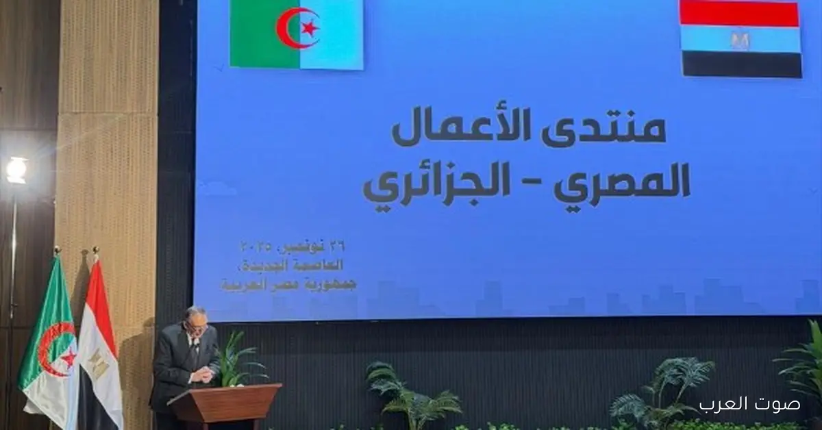 أحمد الوكيل: التجارة بين مصر والجزائر بتتجاوز مليار دولار ولازم نوسع الاستثمارات