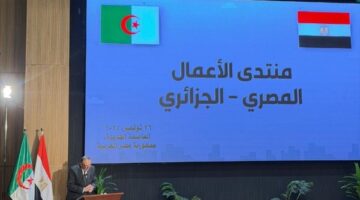 أحمد الوكيل لازم نكون شركاء مع الجزائر علشان نطور التنمية