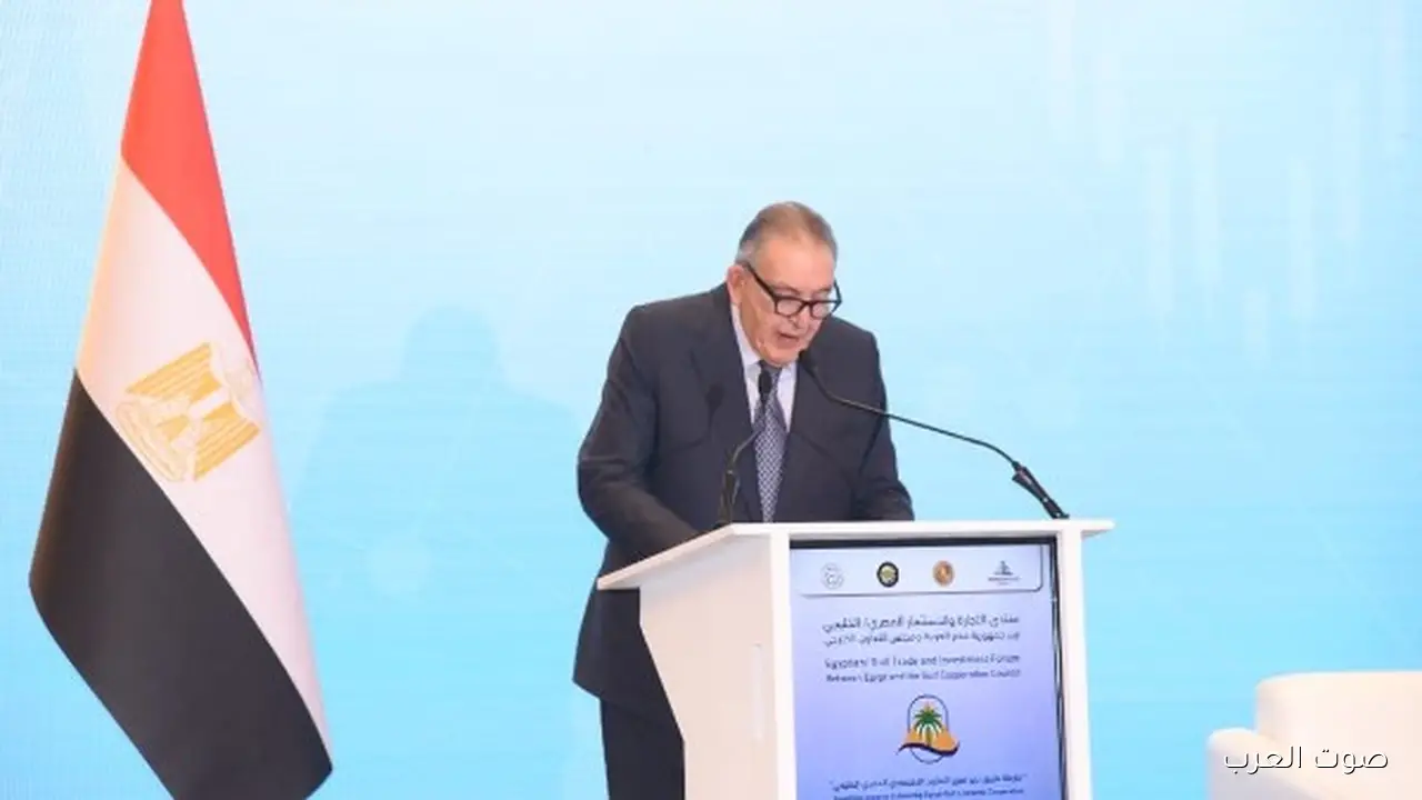 أحمد الوكيل مصر مليانة فرص حلوة وجاذبة للاستثمارات الخليجية في