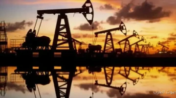 أسباب انخفاض أسعار النفط عالميًا هيئة البترول تشرح الوضع