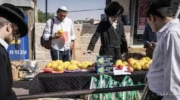 أسعار الأكل والفواكه والخضار بتزيد الأزمة الغذائية في إسرائيل