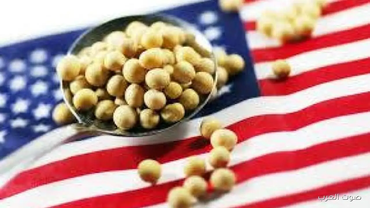 أسعار الحبوب الأمريكية بتزيد بسبب الطلب من الصين وأمل إنهاء