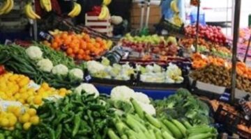 أسعار الخضار النهارده الاثنين 24 نوفمبر 2025