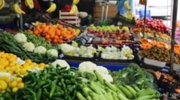 أسعار الخضار والفاكهة النهاردة السبت 22 11 2025