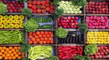 أسعار الخضروات في سوق العبور اليوم