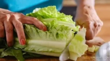 أسعار الخضروات والفاكهة ثابتة النهاردة الثلاثاء 25 نوفمبر 2025