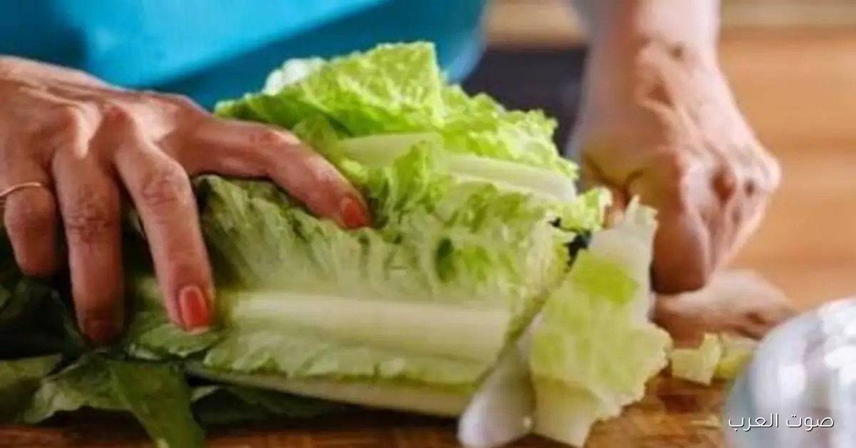 أسعار الخضروات والفاكهة ثابتة النهاردة الثلاثاء 25 نوفمبر 2025