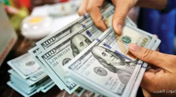 أسعار الدولار مقابل الجنيه في ختام يوم الثلاثاء 25 نوفمبر
