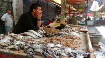 أسعار السمك النهارده الاثنين 17 نوفمبر 2025