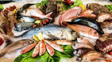 أسعار السمك اليوم 1