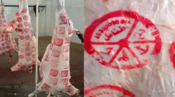 أسعار اللحوم نزلت في الأسواق الفلاحين يوضحوا الأرقام