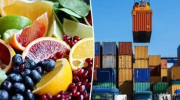 أسواق جديدة خطة لزيادة الصادرات وتحويل مصر لمركز غذائي في