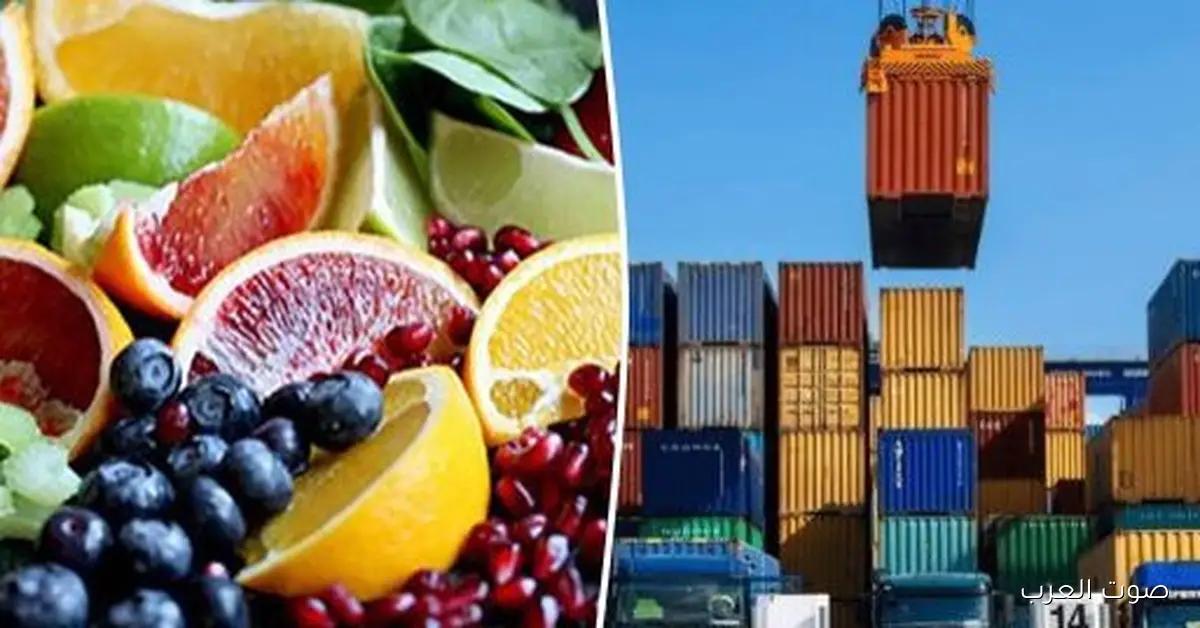 أسواق جديدة.. خطة لزيادة الصادرات وتحويل مصر لمركز غذائي في المنطقة