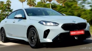 أكبر دولة في العالم بتفكر تمنع سيارات البنزين الفاخرة