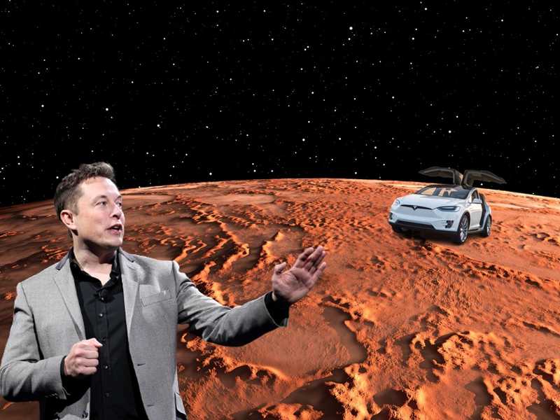 أهم محطات في حياة إيلون ماسك صاحب شركة تسلا