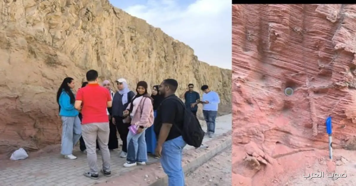 أول رحلة لطلاب علوم القاهرة الأهلية علشان يكتشفوا التربة والصخور 2 أول رحلة لطلاب علوم القاهرة الأهلية علشان يكتشفوا التربة والصخور