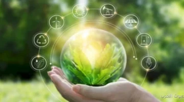 إزاي الشركات الكبيرة ممكن تستفيد من تقنية المكثفات المصرية عشان