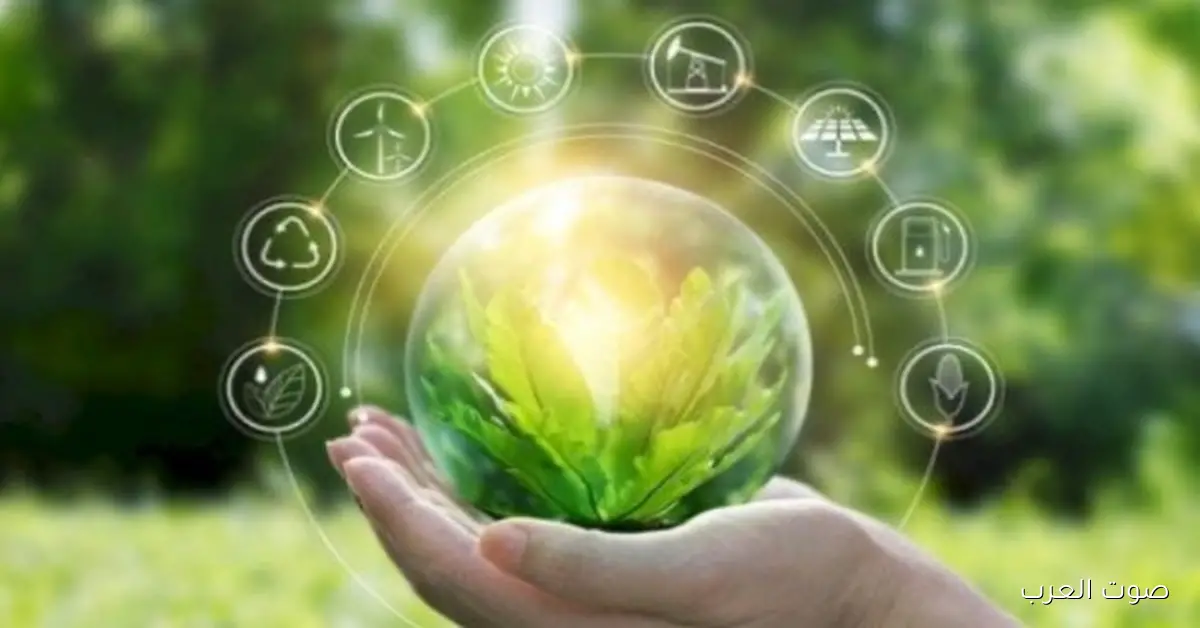 إزاي الشركات الكبيرة ممكن تستفيد من تقنية المكثفات المصرية عشان تقلل فواتير الطاقة؟ 2 إزاي الشركات الكبيرة ممكن تستفيد من تقنية المكثفات المصرية عشان تقلل فواتير الطاقة؟