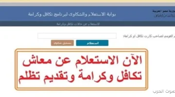 إزاي تعرف معاش تكافل وكرامة؟ دور على اسمك