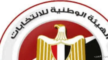 إلغاء انتخابات 29 دائرة الهيئة الوطنية بنحترم أحكام القضاء وهنعمل