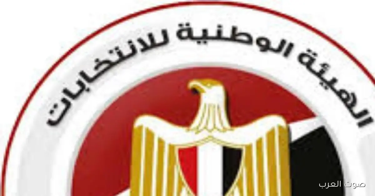 إلغاء انتخابات 29 دائرة.. الهيئة الوطنية: بنحترم أحكام القضاء وهنعمل جدول زمني جديد