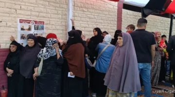 إلغاء انتخابات المرحلة الأولى والدوائر الإدارية العليا تصدر حكمها في