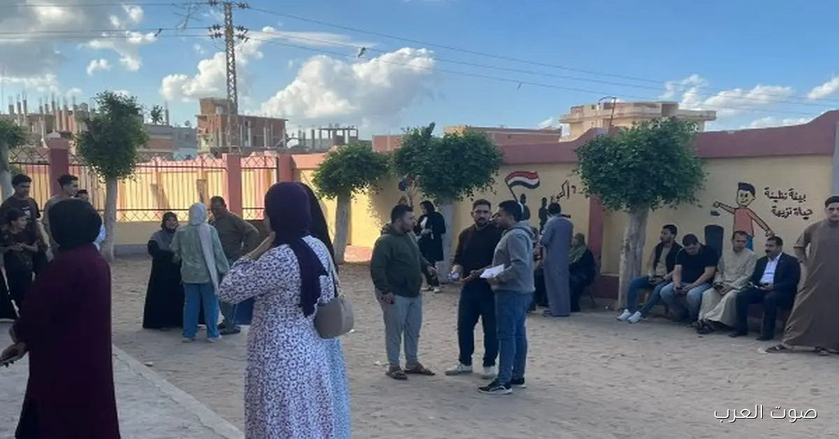 إلغاء نتيجة انتخابات مجلس النواب في إسنا وأرمنت والأقصر حسب حكم الإدارية العليا