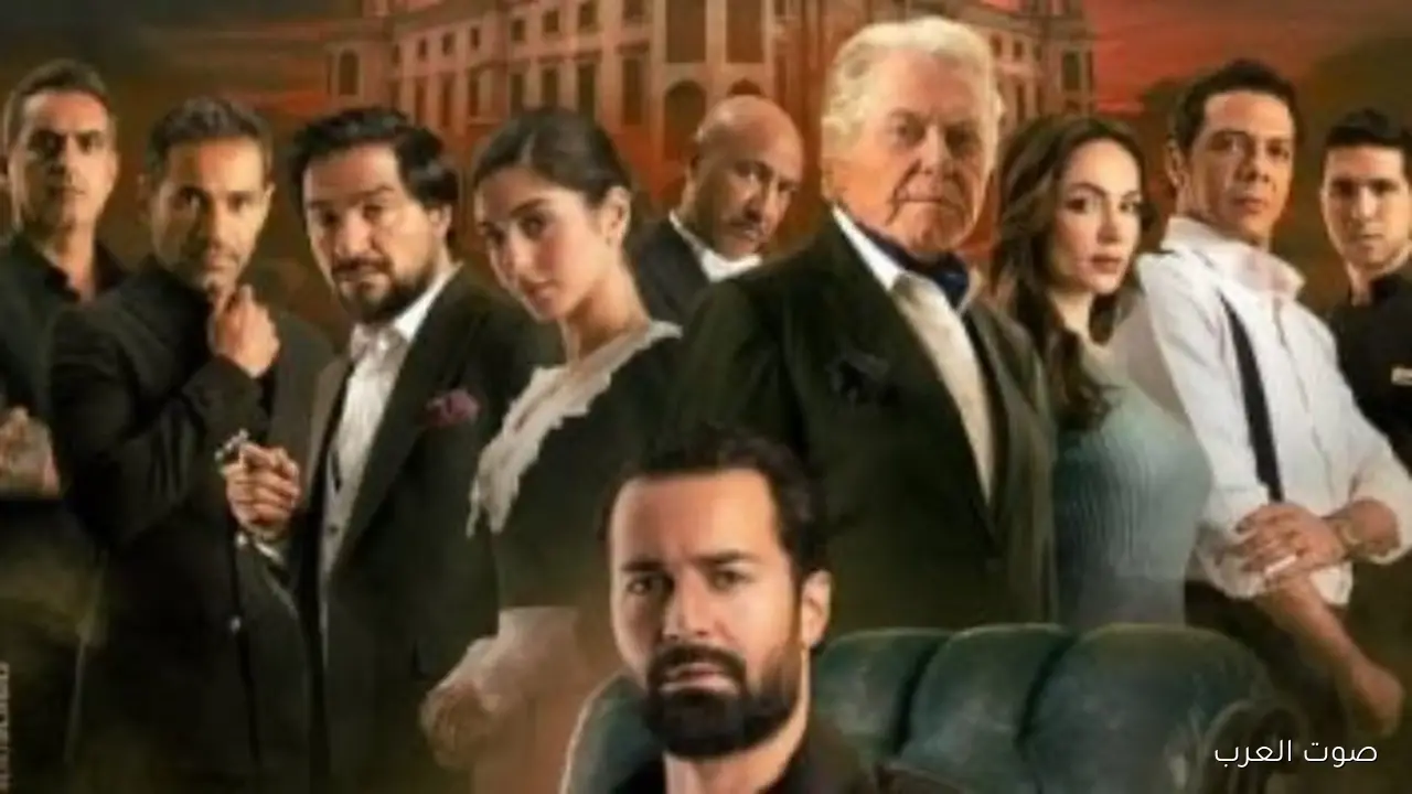 إيرادات السينما أمس السادة الأفاضل متفوقين وقصر الباشا بيلاحقهم